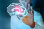 neuromarketing sistema límbico